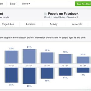 Understand Your Customers Using Facebook Insights